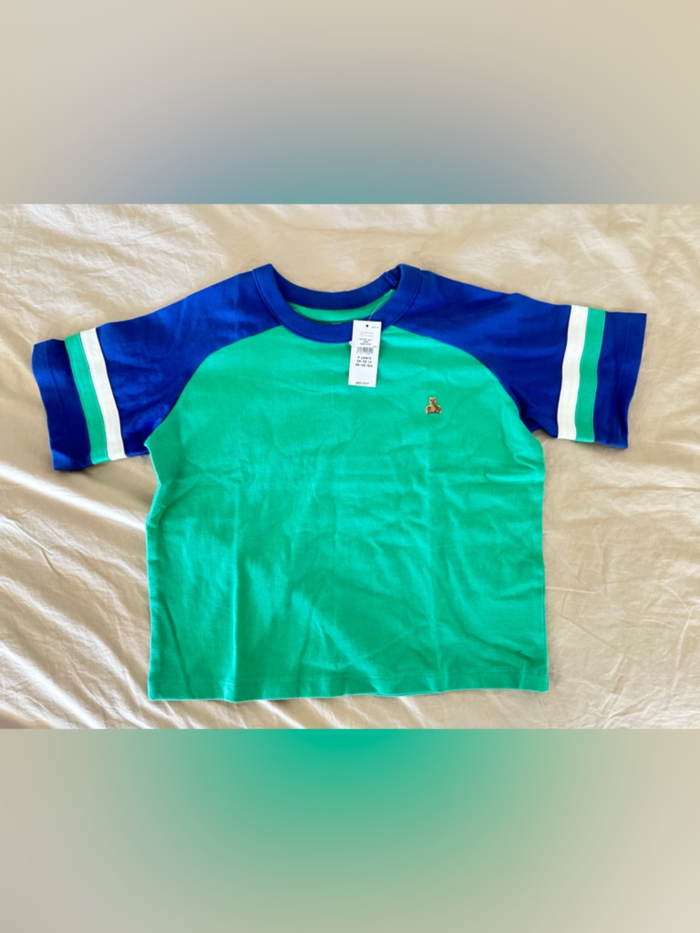 GAP Green Body Tee with Blue Raglan Sleeves and Stripe Detail
